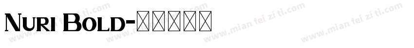 Nuri Bold字体转换